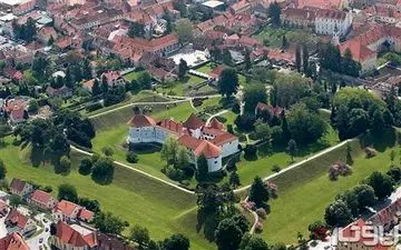 برانکو نماد شهرش شد + عکس