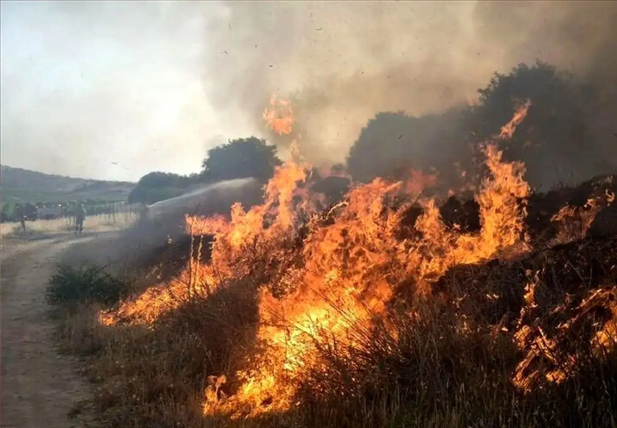 
آخرین وضعیت آتش‌سوزی جنگل‌های «الیت» چالوس/ کهرم: مسئولان به‌‎جای اطلاع‌رسانی برای مهار آتش اقدام کنند
