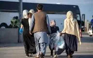 آمار خروج اتباع غیرمجاز از کشور اعلام شد