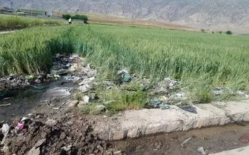 رهاسازی زباله های شهری درسرابله ونابودی مزارع کشاورزی/پای دردل نماینده کشاورزان/گزارش تصویری