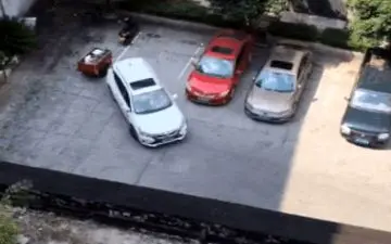 پارک کردن خنده‌دار راننده چینی سوژه شبکه‌های مجازی شد