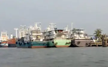  غذای دریایی چطور صیادان را برده کرده است؟