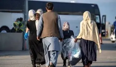 هشدار جدی جمهوری اسلامی درباره اتباع غیرمجاز: امنیت کشور در خطر است!