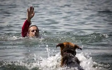 مانور سگ‌های جستجو و نجات جمعیت هلال احمر