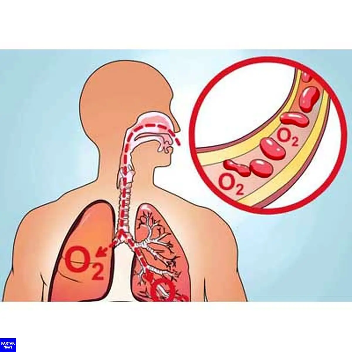 این علائم هشدار دهنده کاهش اکسیژن در خون است 