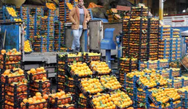 قیمت انواع میوه و سبزی در بازار +جدول