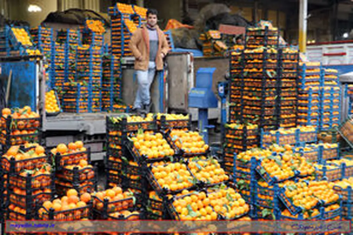 قیمت انواع میوه و سبزی در بازار +جدول
