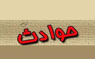 داماد مسلح 7 عضو خانواده همسرش را قتل عام کرد