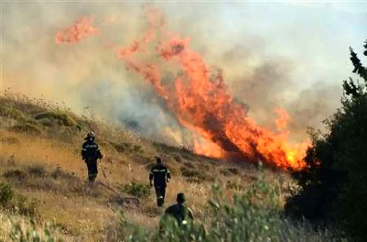  آتش سوزی گسترده در جنگل های یونان