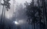  راز ۴۵ ساله جنگل رندلشم: ادعای ملاقات نظامیان آمریکا با موجودات غیرانسانی