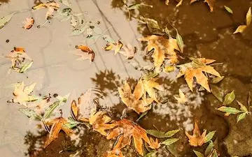 ۶ استان امسال رکورد کم‌بارشی را در کشور جابه جا کردند