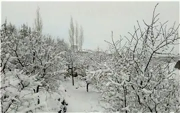  کاهش محسوس دما در کشور از فردا