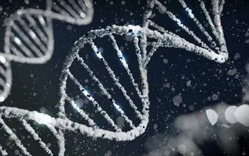 راز بیمارتر بودن مردان فاش شد؛ همه‌چیز تقصیر ژن‌هاست