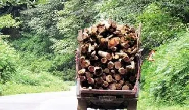 قاچاق چوب در آمل با پوشش خانوادگی