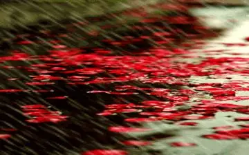 بارش باران بهاری در بیشتر مناطق کشور