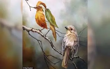 تست شخصیت شناسی | تو سختی‌ها به خودت تکیه می‌کنی یا بقیه؟
