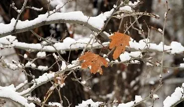  هواشناسی ایران ۹۸/۰۹/۲۵| آغاز باران و برف شدید در سراسر کشور از امروز