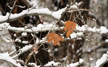  هواشناسی ایران ۹۸/۰۹/۲۵| آغاز باران و برف شدید در سراسر کشور از امروز