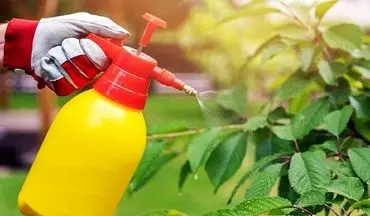 آفت‌کش‌ها با اختلال در رشد مغز کودکان مرتبط هستند