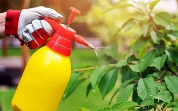 آفت‌کش‌ها با اختلال در رشد مغز کودکان مرتبط هستند