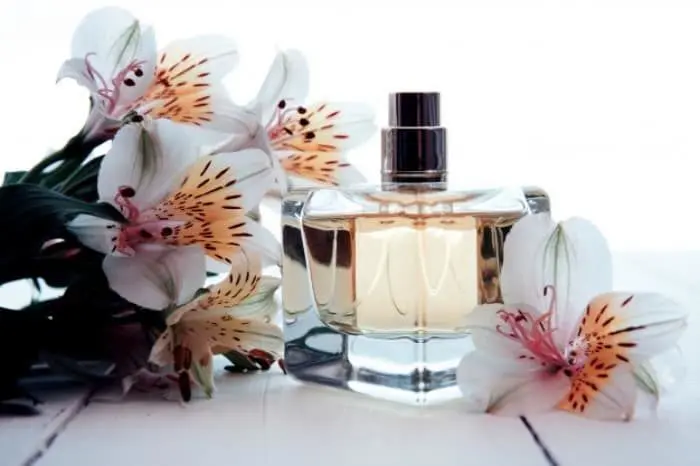 عطر متولدین ماه ها