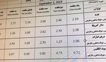 شرایط متفاوت سپرده‌گذاری ارزی/ سود دلار هم منحرف شد