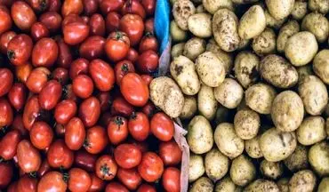 سیب‌زمینی و گوجه‌فرنگی ارزان شد