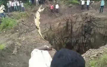 نجات حیوانی که بویی از مهربانی نبرده است 