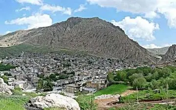 تور گردشگری خبرنگاران و آشنایی با خواص استفاده از برخی گیاهان بهاری و دارویی/ بیش از ۲۰ نوع گیاه بهاری در شهرستان دالاهو رشد می‌کند