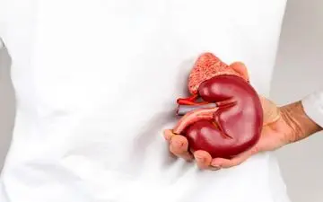 قاتل کلیه‌ها را بشناسید