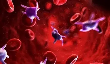 افزایش پلاکت خون با این ۱۰ ماده غذایی معجزه گر