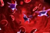 افزایش پلاکت خون با این ۱۰ ماده غذایی معجزه گر