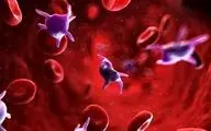 افزایش پلاکت خون با این ۱۰ ماده غذایی معجزه گر