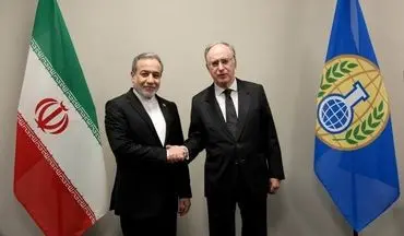 
دیدار عراقچی با مدیرکل سازمان منع سلاح‌های شیمیایی
