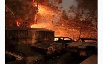 داغ ترین خواستگاری جهان+ عکس