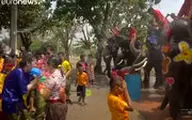 آب بازی با فیل‌ها در تایلند به مناسبت سال جدید 