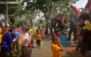 آب بازی با فیل‌ها در تایلند به مناسبت سال جدید 