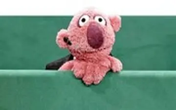  آوازی که جناب خان خواند و برگ‌های گلدان و بچه‌های کوچه ریخت!