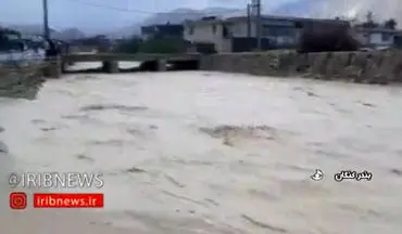 طغیان رودخانه ها در بوشهر و آسیب به خودروها و تاسیسات و منازل شخصی/فیلم