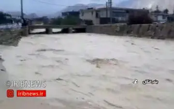 طغیان رودخانه ها در بوشهر و آسیب به خودروها و تاسیسات و منازل شخصی/فیلم