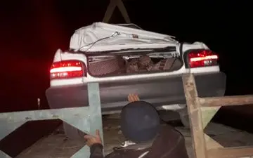 مرگ هولناک عروس جوان بوشهری در برابر چشمان خانواده اش + عکس