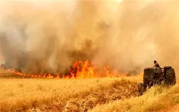 آتش زدن مزارع؛ سلاح جدید داعش علیه دشمنان