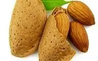 آجیلی که تلخ و شیرین آن خواص درمانی دارد!