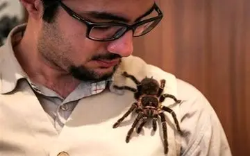 مرد عنکبوتی واقعی ایران! + فیلم