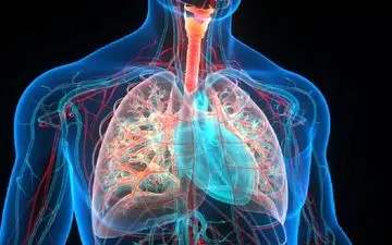 ارتباط خس خس سینه با کمبود ویتامین K چیست؟