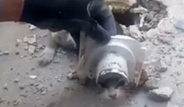 نجات گربه‌ای در خرم‌آباد که سرش در راه‌آب چاه گیر کرده بود