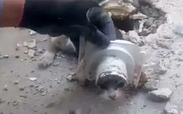 نجات گربه‌ای در خرم‌آباد که سرش در راه‌آب چاه گیر کرده بود