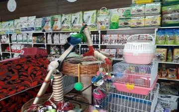 فروشگاه‌های عرضه لوازم جانبی حیوانات خانگی از ورود به حوزه دامپزشکی خودداری کنند