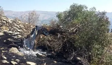 آتش‌سوزی در منطقه حفاظت شده "بوزین و مرخیل" کرمانشاه
