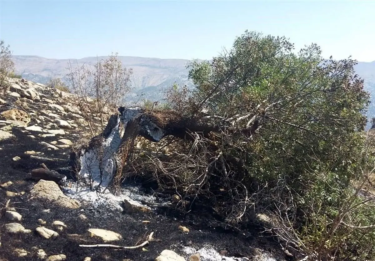 آتش‌سوزی در منطقه حفاظت شده "بوزین و مرخیل" کرمانشاه
